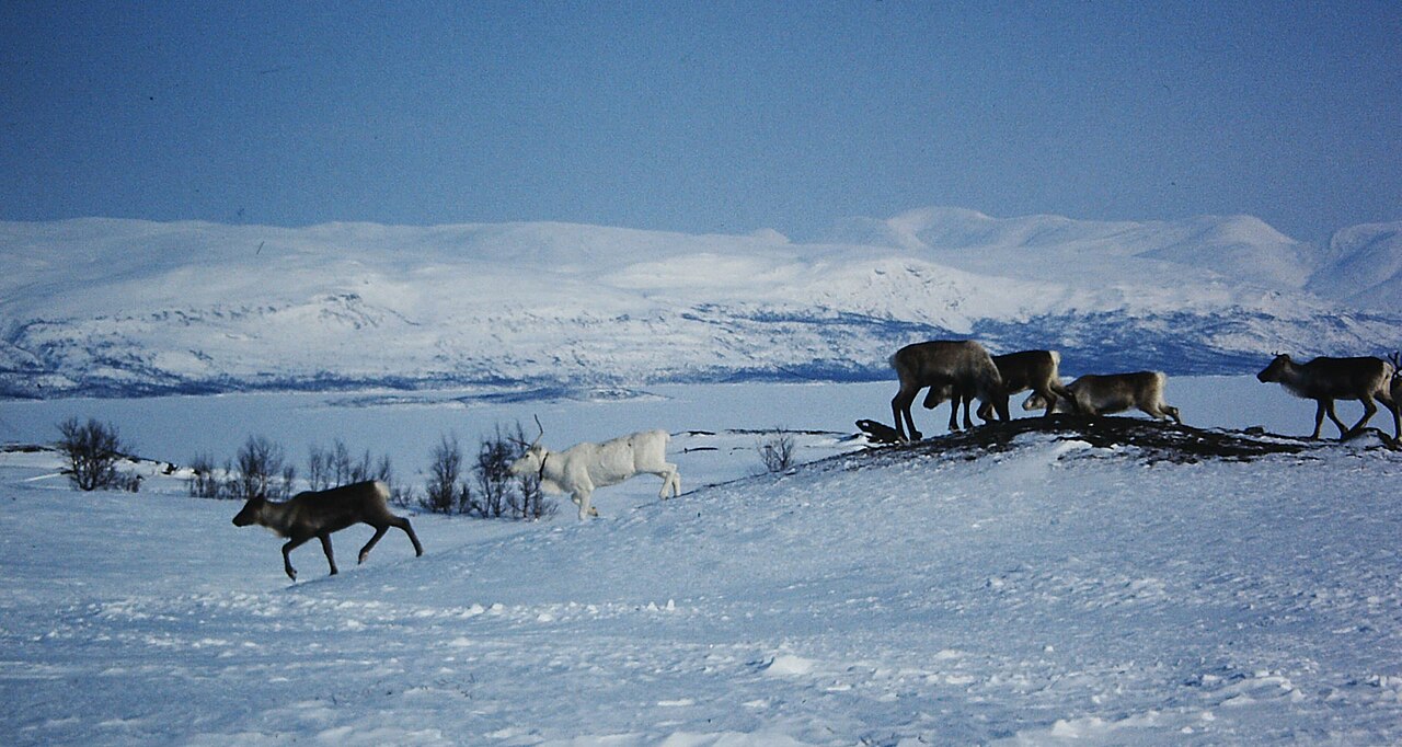 Abisko