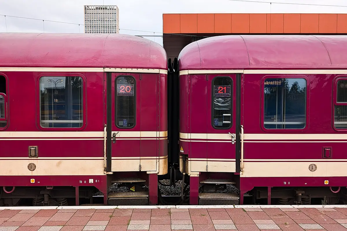 European Sleeper, photographed for Wikimedia Commons
