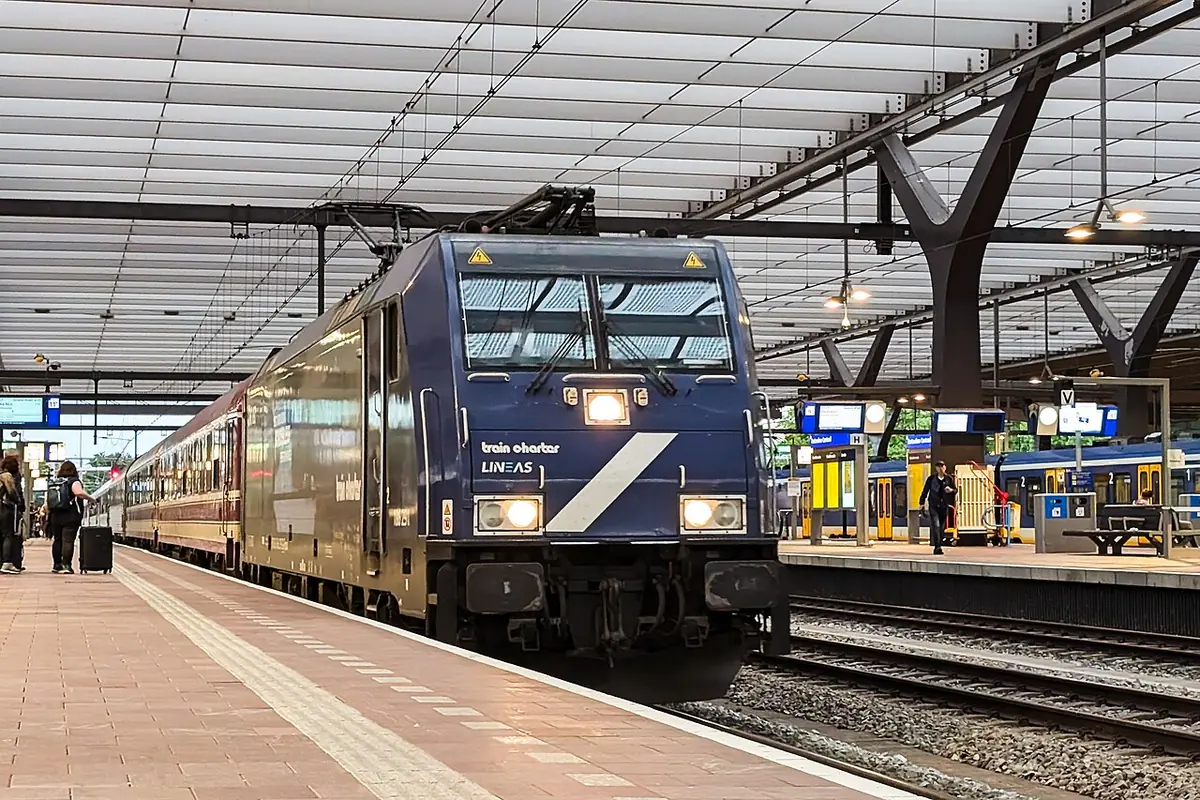 European Sleeper, photographed for Wikimedia Commons